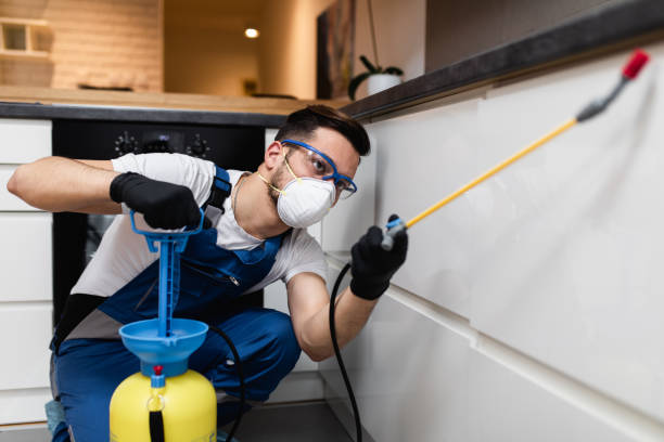 Best Best Pest Control Companies  in New Haven, MI