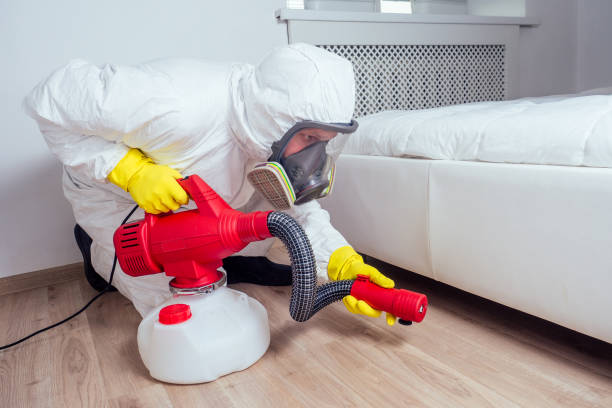 Best Rat Extermination Near Me  in New Haven, MI