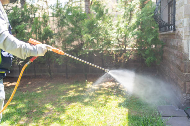Best Rat Extermination Near Me  in New Haven, MI