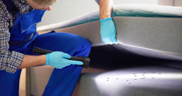 Best Affordable Pest Control Services  in New Haven, MI