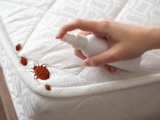 Best Pest Control for Businesses  in New Haven, MI