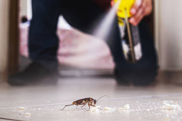 Best Rodent Control Near Me  in New Haven, MI