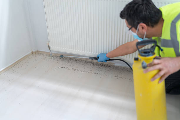 Best Bed Bug Extermination  in New Haven, MI